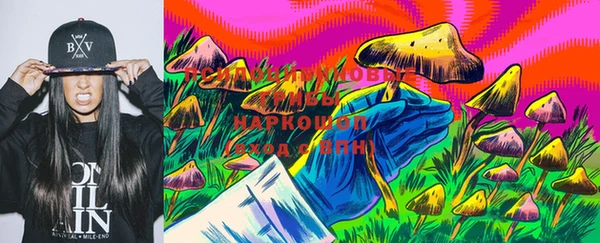 спайс Алзамай