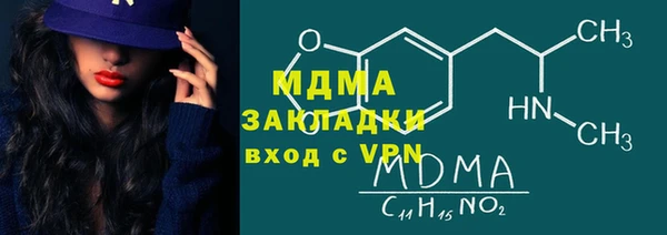 индика Надым