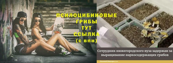 спайс Алзамай