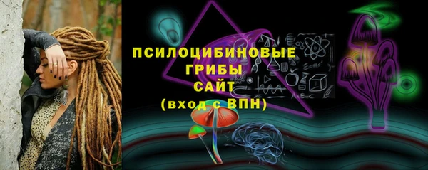 apvp Алексин