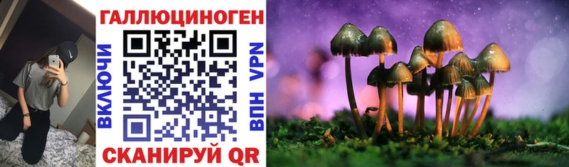 Псилоцибиновые грибы Psilocybe  купить наркотики цена  MEGA tor  Углич 