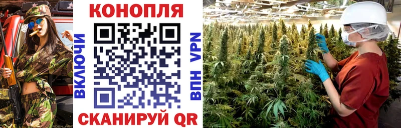 МАРИХУАНА план  Углич 